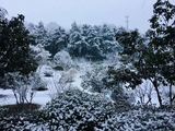 校园风光